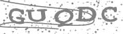 Type the letters in the image or Type the first letter of the words spoken in the audio.