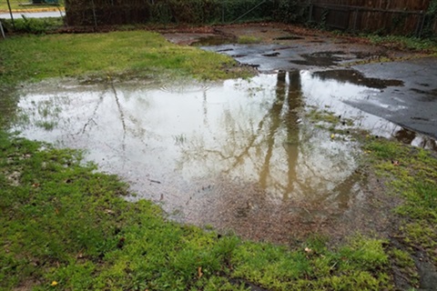 Standing or pooling water