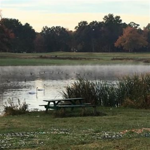 A view of the pond at Goodwin Park