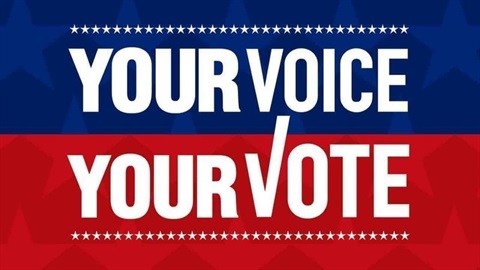 Your Voice Your Vote Logo